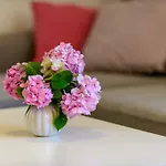 Apartment Sanja